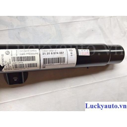 Giảm xóc trước BMW 320i đời 2015_31316874367